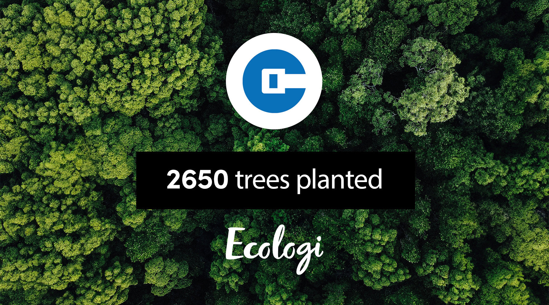 Why we donate to Ecologi, and why responsibility matters.